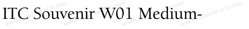 ITC Souvenir W01 Medium字体转换